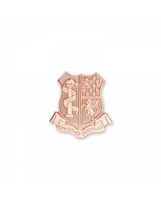 Lapel Pin Die Struck (Up to 0.75")